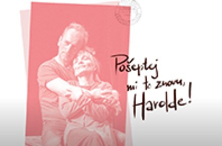 Pošeptej mi to znovu, Harolde! — camera work by Ondřej Herold, cinematographer based in Prague